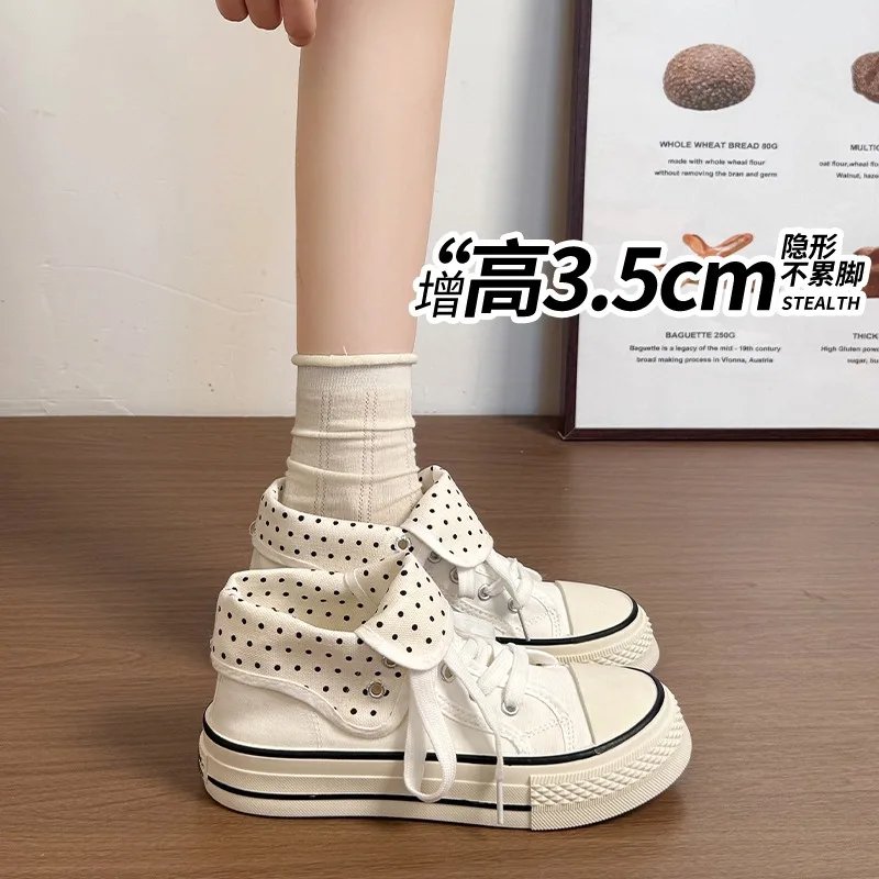 7173-c683a4.jpg