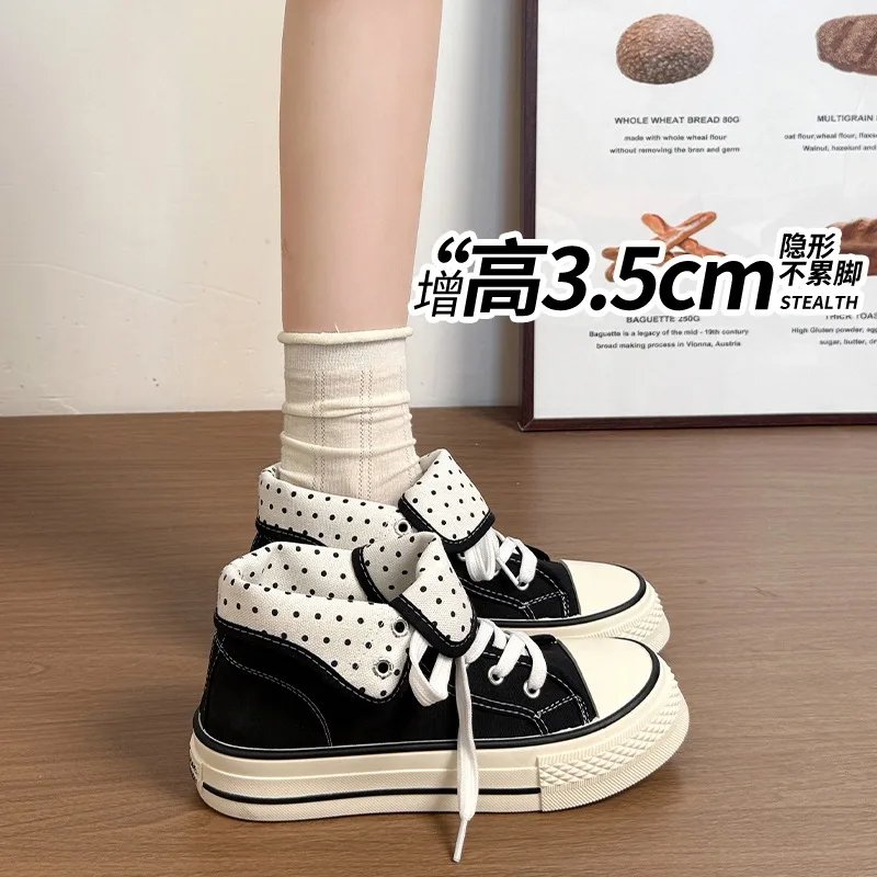 7173-d955ee.jpg